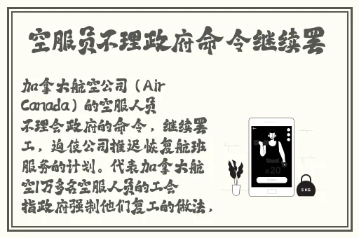 黄金网站app免费视频